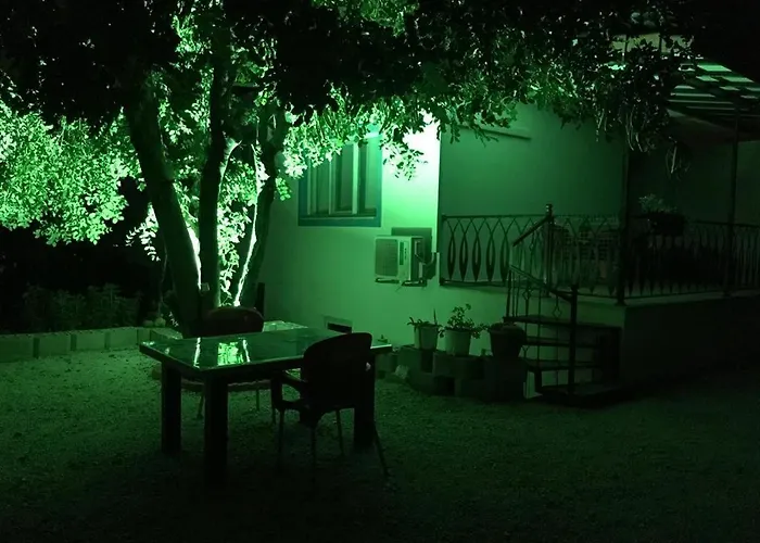 Tyana Home-2 カシュ